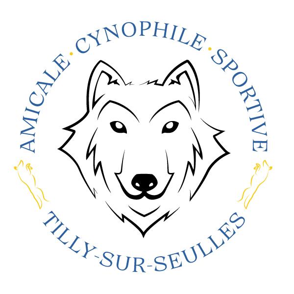 Logo acsts petit 1